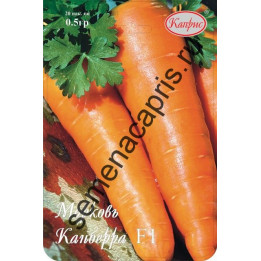 КАНБЕРРА