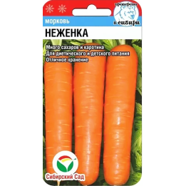 НЕЖЕНКА