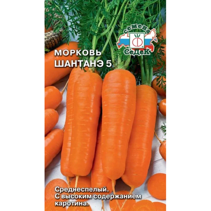 ШАНТАНЭ 5