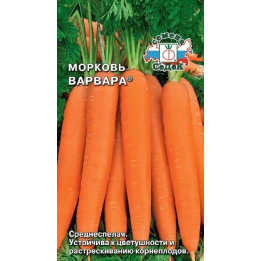 ВАРВАРА