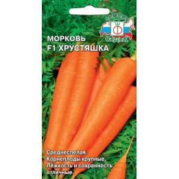 ХРУСТЯШКА