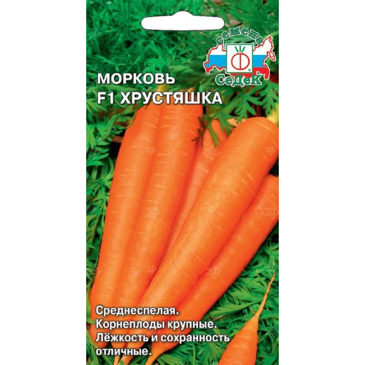 ХРУСТЯШКА