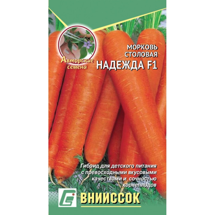 НАДЕЖДА