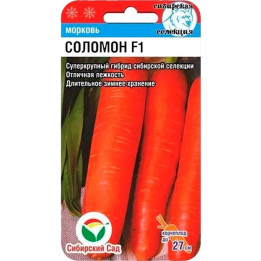 СОЛОМОН