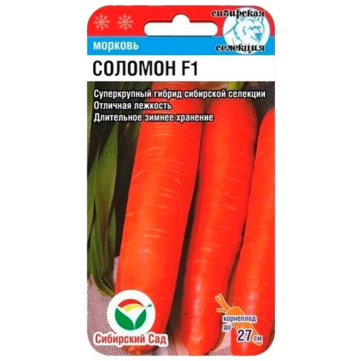 СОЛОМОН
