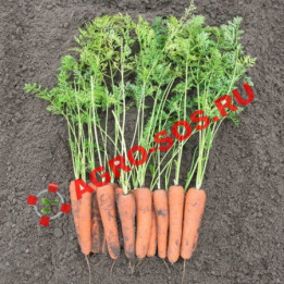НИРИМ