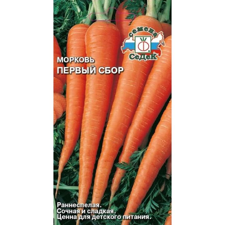 ПЕРВЫЙ СБОР