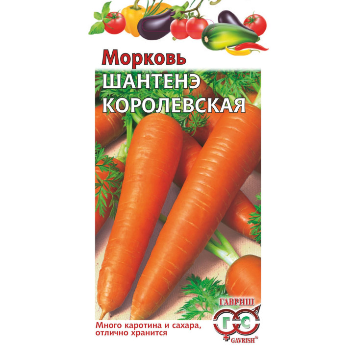ШАНТЕНЭ КОРОЛЕВСКАЯ