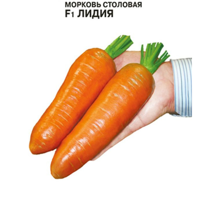 ЛИДИЯ