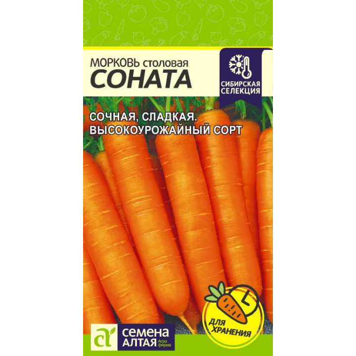 СОНАТА