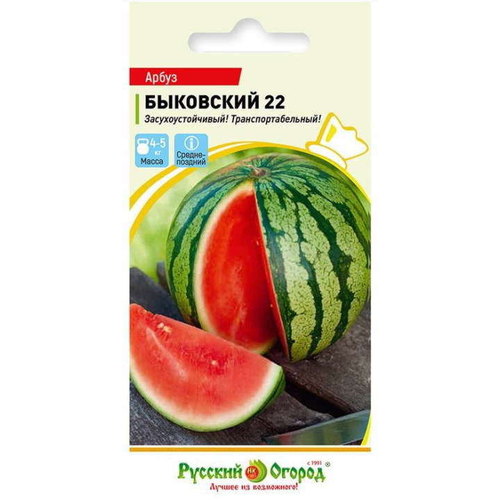 БЫКОВСКИЙ 22