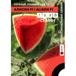 АЛИСОН