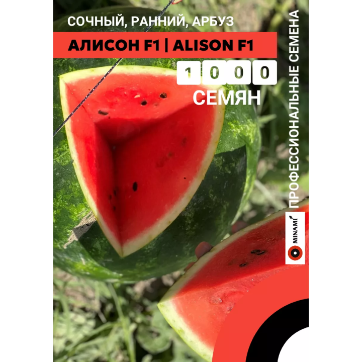 АЛИСОН