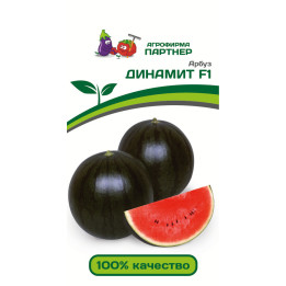 ДИНАМИТ
