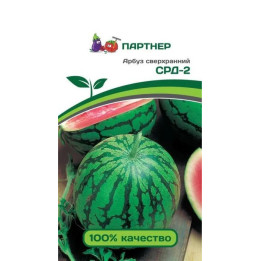 ДСВ НС 21