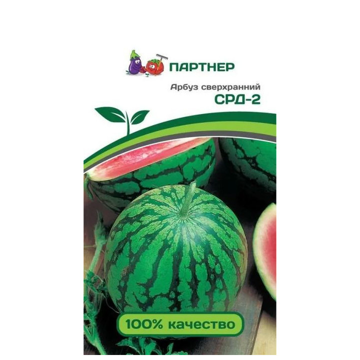 ДСВ НС 21