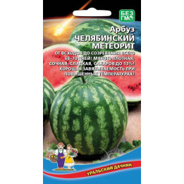 ЧЕЛЯБИНСКИЙ МЕТЕОРИТ