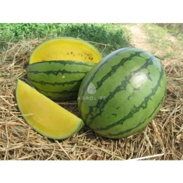 ЕЛЛОУ ЛАВ