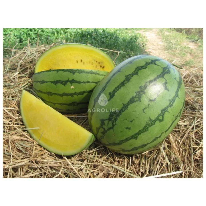 ЕЛЛОУ ЛАВ