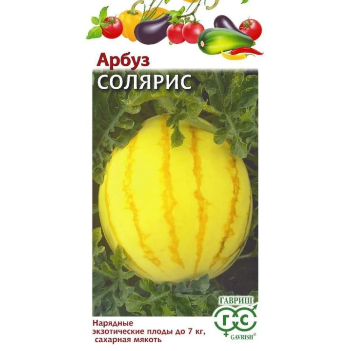 СОЛЯРИС