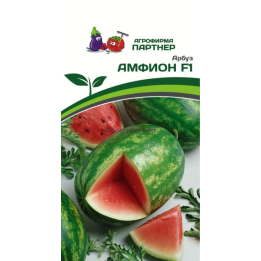БАЙСАН