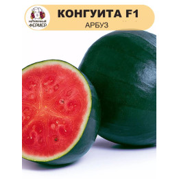 КОНГУИТА