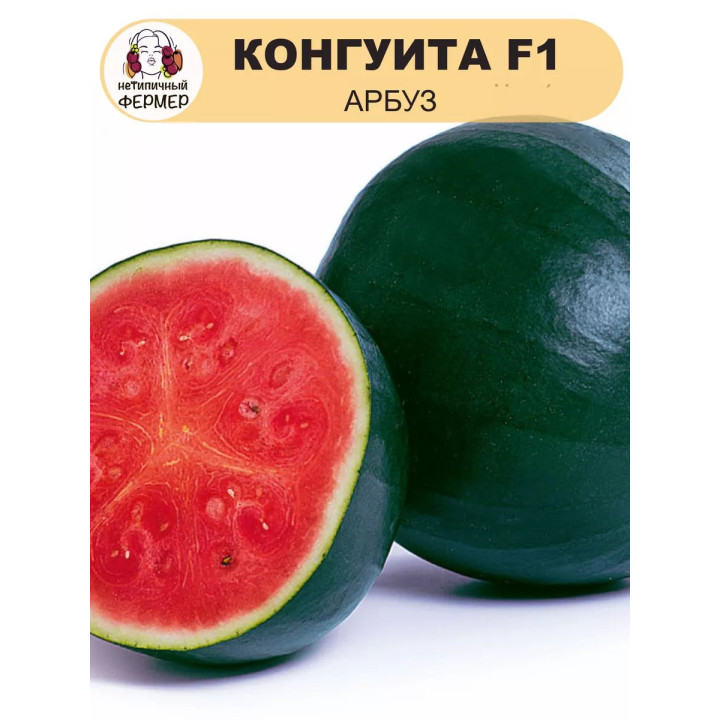 КОНГУИТА