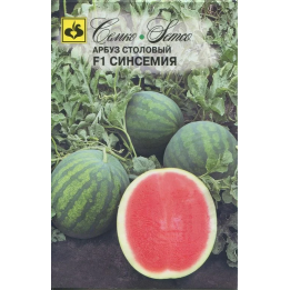 СИНСЕМИЯ