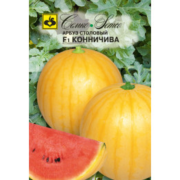 КОННИЧИВА