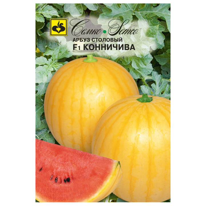 КОННИЧИВА