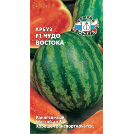 ЧУДО ВОСТОКА