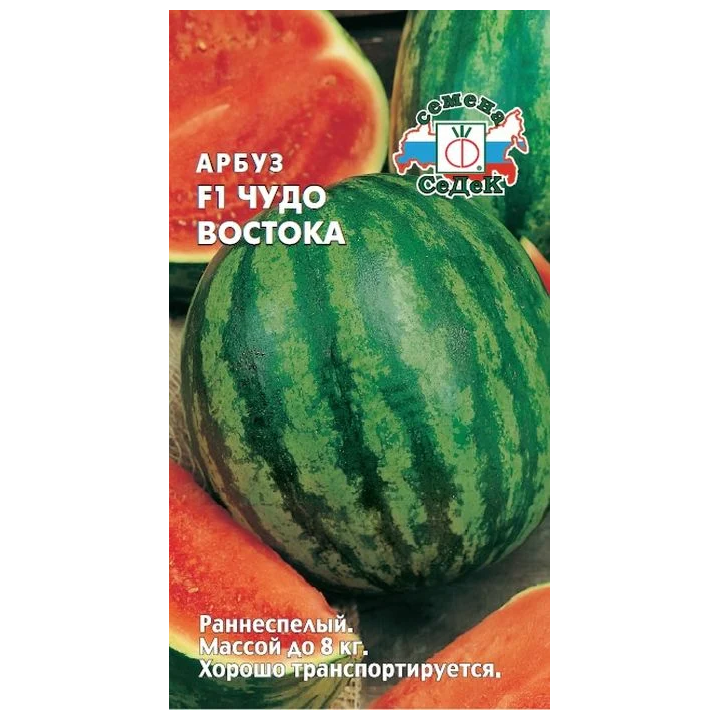 ЧУДО ВОСТОКА