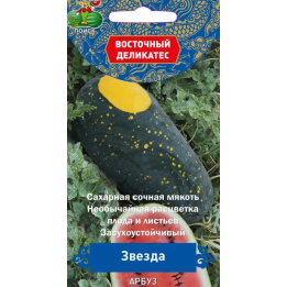 ЗВЕЗДА