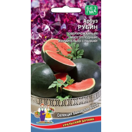 РУБИН