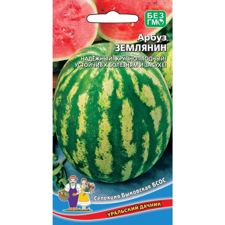 ЗЕМЛЯНИН