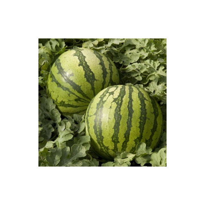 КОЛАМБИЯ