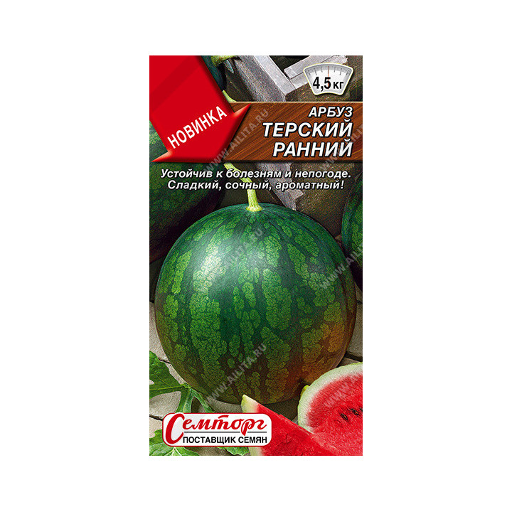 ТЕРСКИЙ РАННИЙ