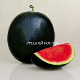 ЛАНТА
