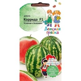КОРРИДА