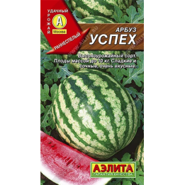 УСПЕХ