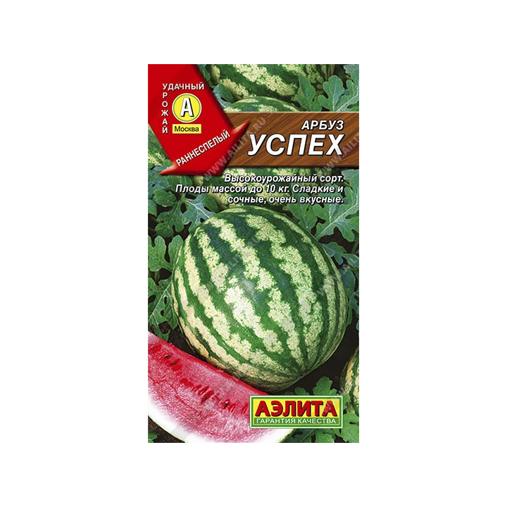 УСПЕХ
