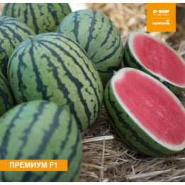 ПРЕМИУМ