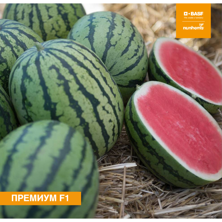 ПРЕМИУМ