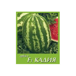КАДИЯ