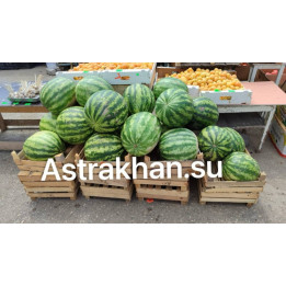 НОВИНКА АСТРАХАНИ
