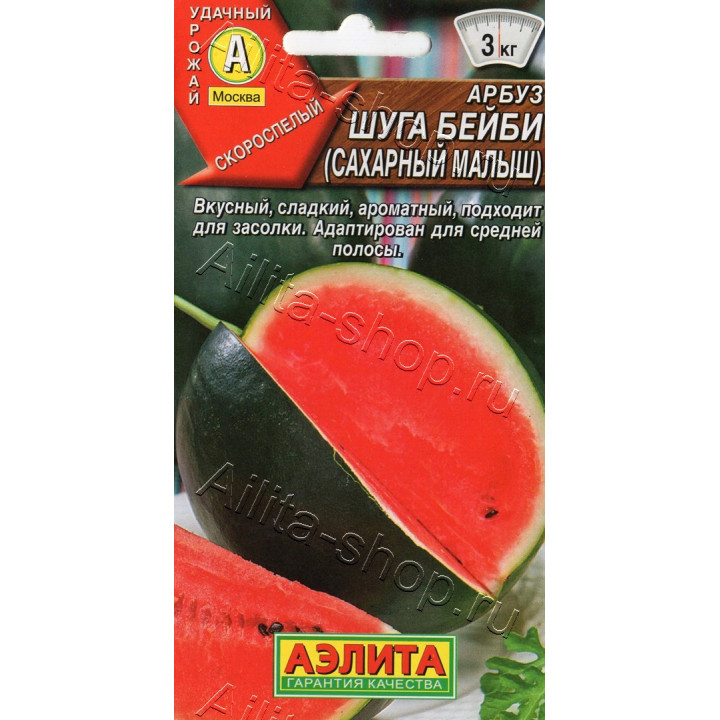 ШУГА БЕЙБИ