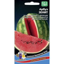 ЗЕНИТ
