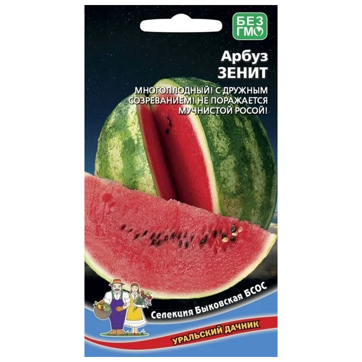 ЗЕНИТ