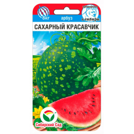 КРАСАВЧИК