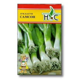 САМСОН
